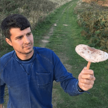 Screen Shot 2017-10-17 at 10.32.50